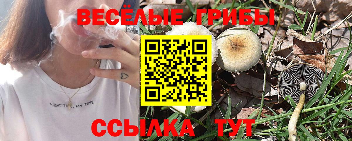 Галлюциногенные грибы Cubensis Азнакаево